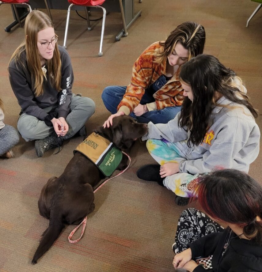 Katja enjoying cuddles from the library visitors